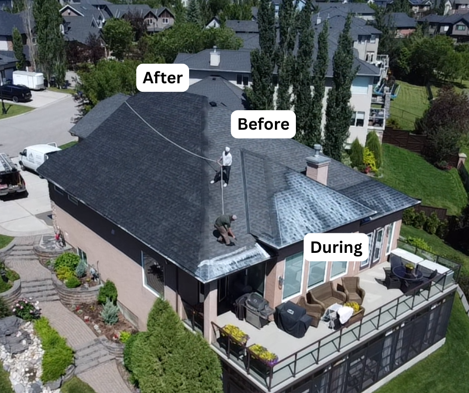 Hartford-area home — moss-darkened shingles restored on a single visit.